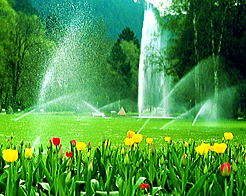 緑化散水の公園の画像